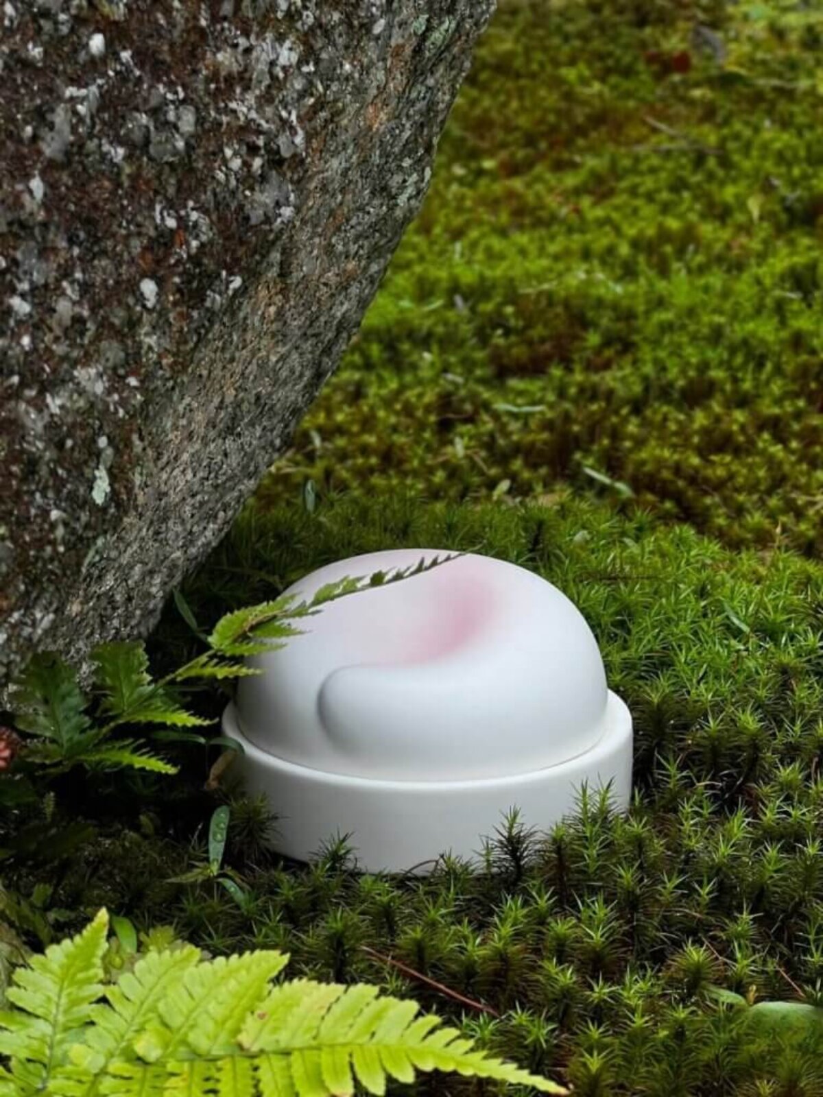 Ceramic Pet Urn - Cherry Blossoms