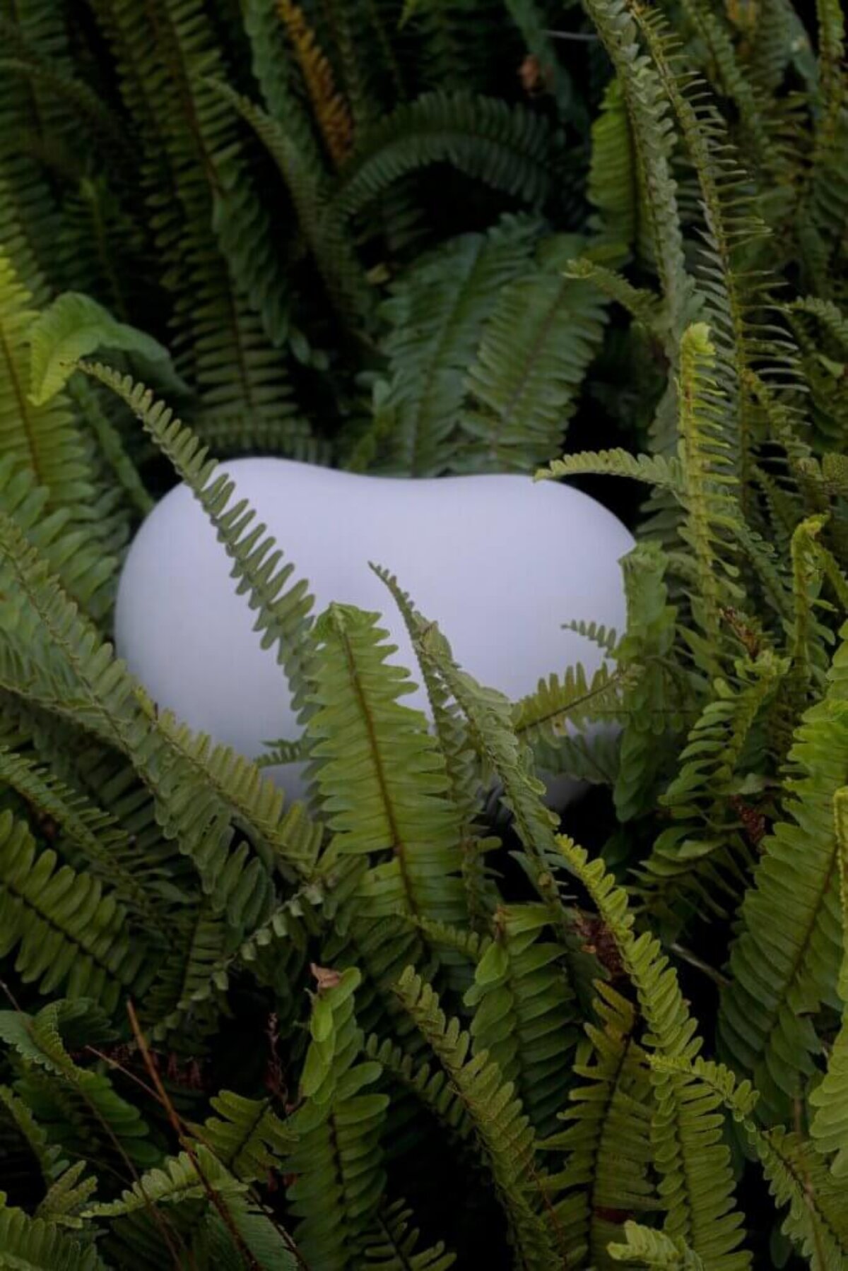 Biodegradable Pet Urn - Luna Shell