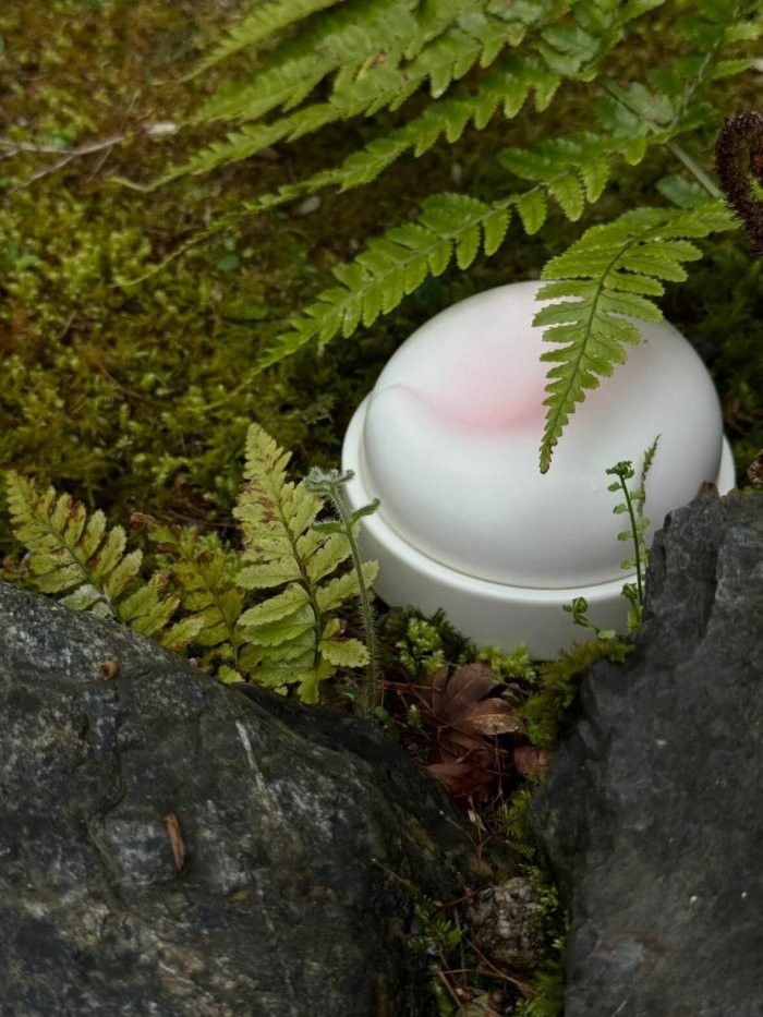 Ceramic Pet Urn - Cherry Blossoms