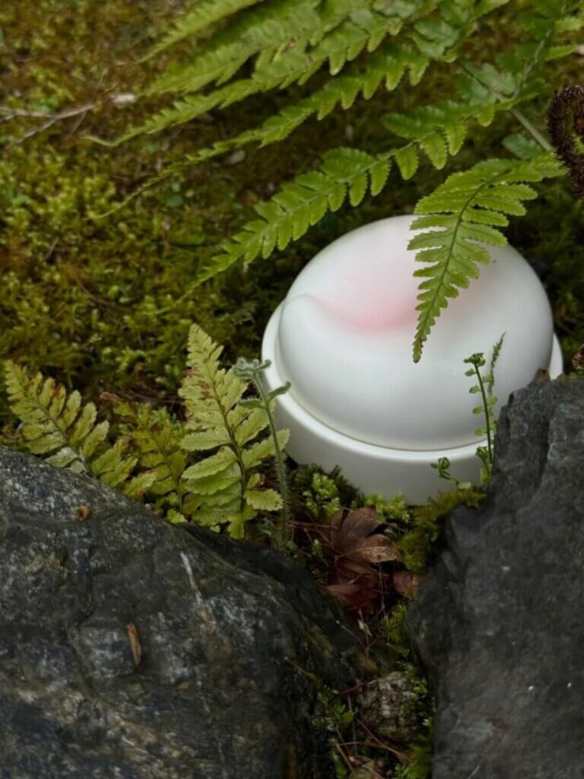 Ceramic Pet Urn - Cherry Blossoms