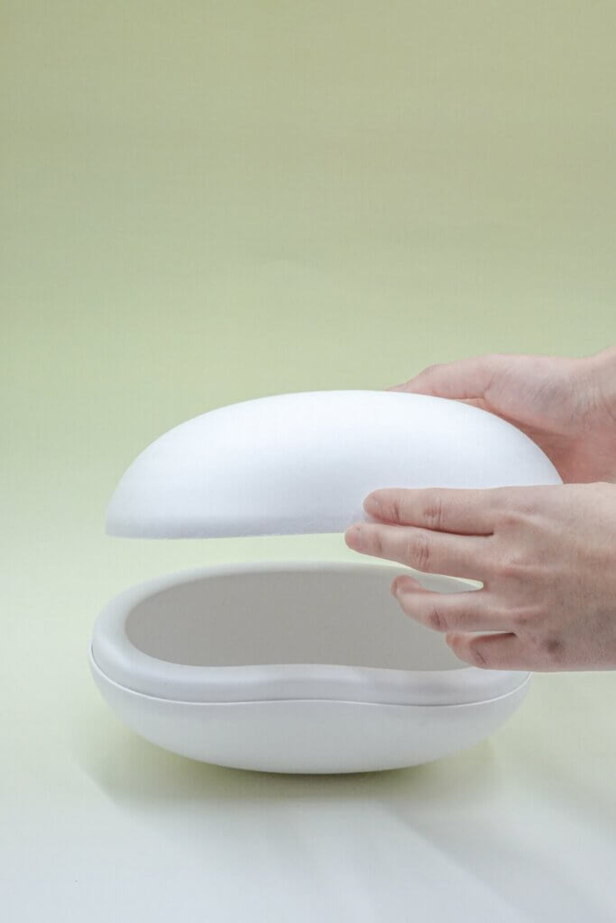 Biodegradable Pet Urn - Luna Shell