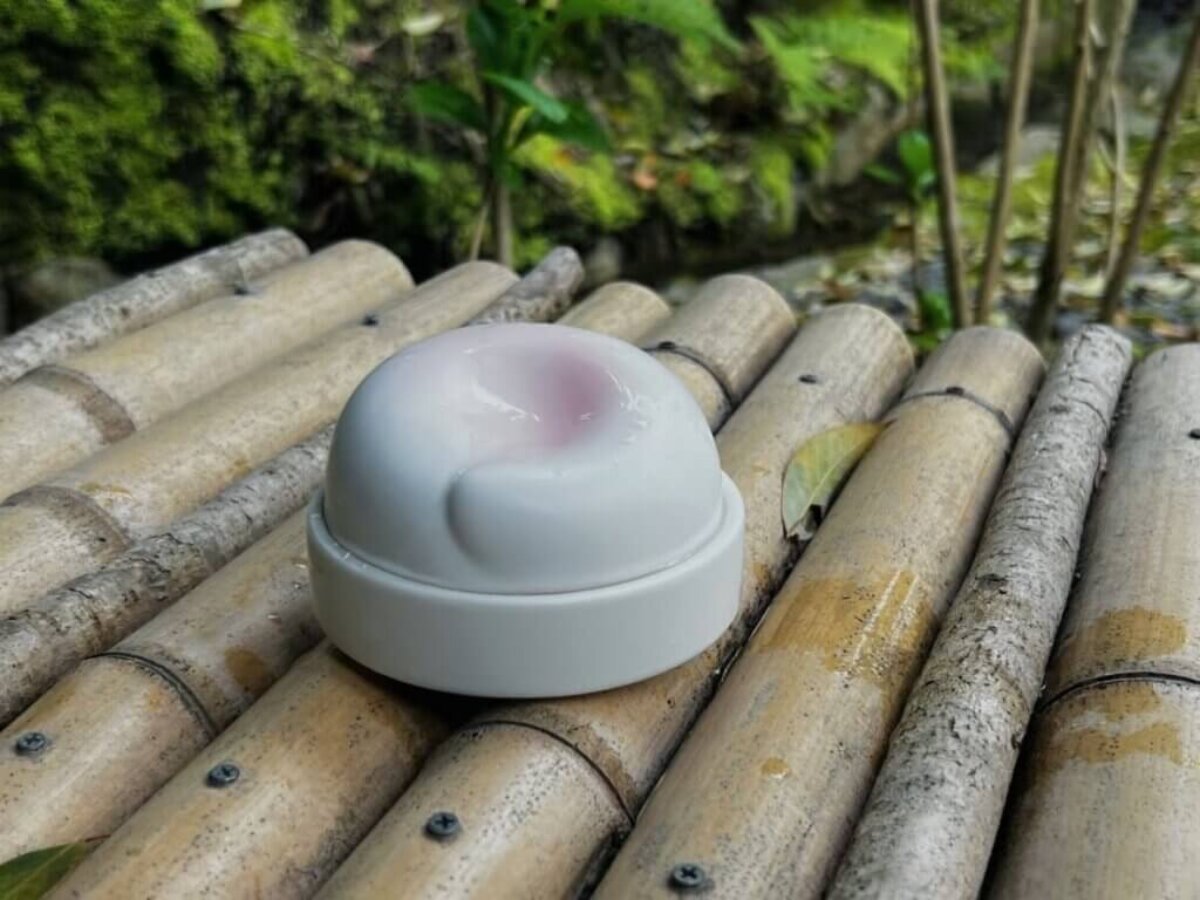 Ceramic Pet Urn - Cherry Blossoms