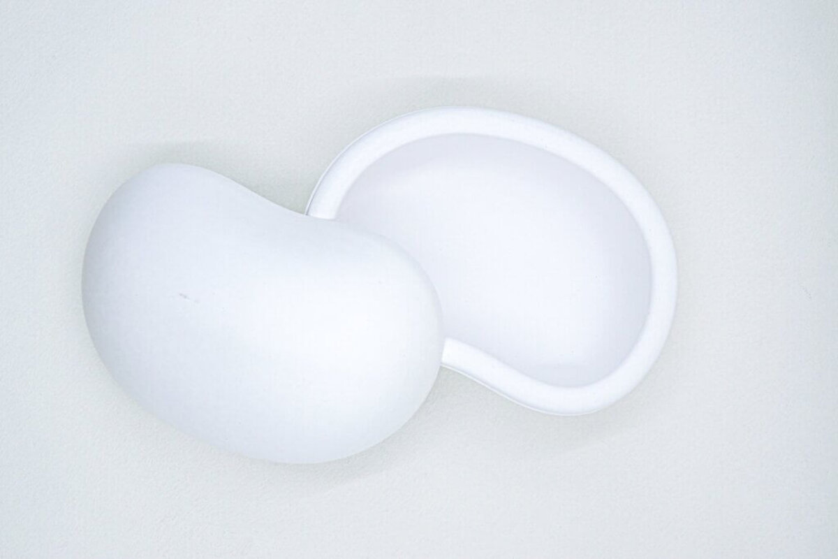 Biodegradable Pet Urn - Luna Shell
