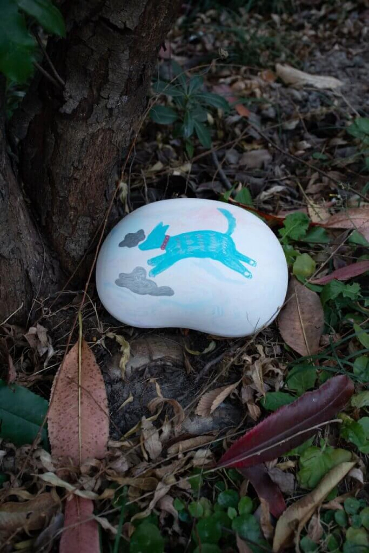 Biodegradable Pet Urn - Luna Shell