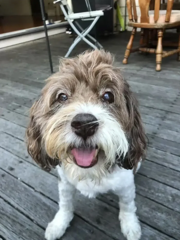 Molly