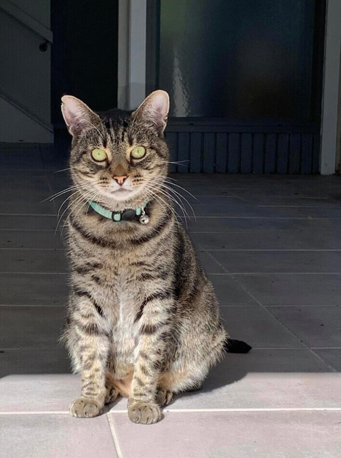 Hunter