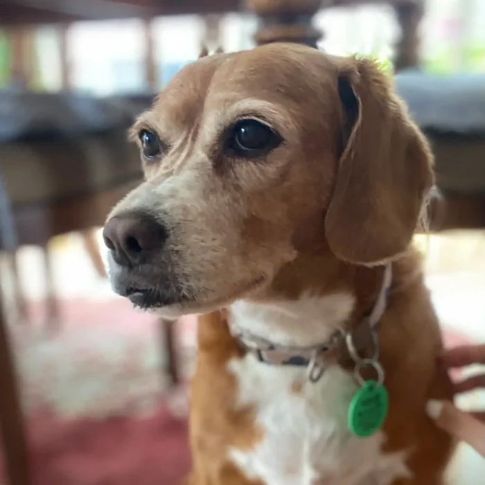 Molly