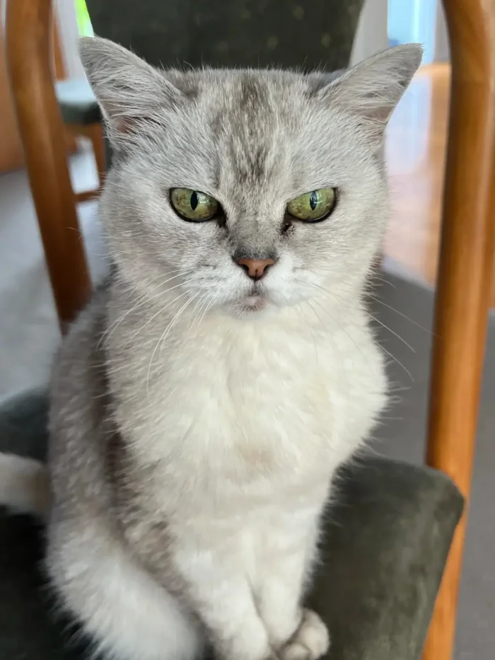 Ellie