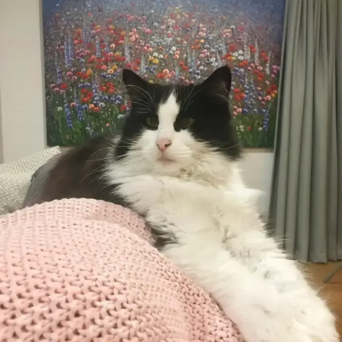 Monty