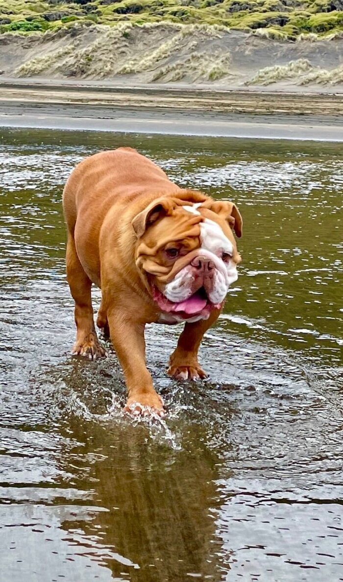 Jax