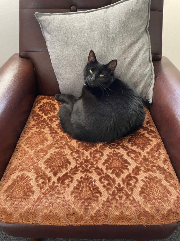Nim