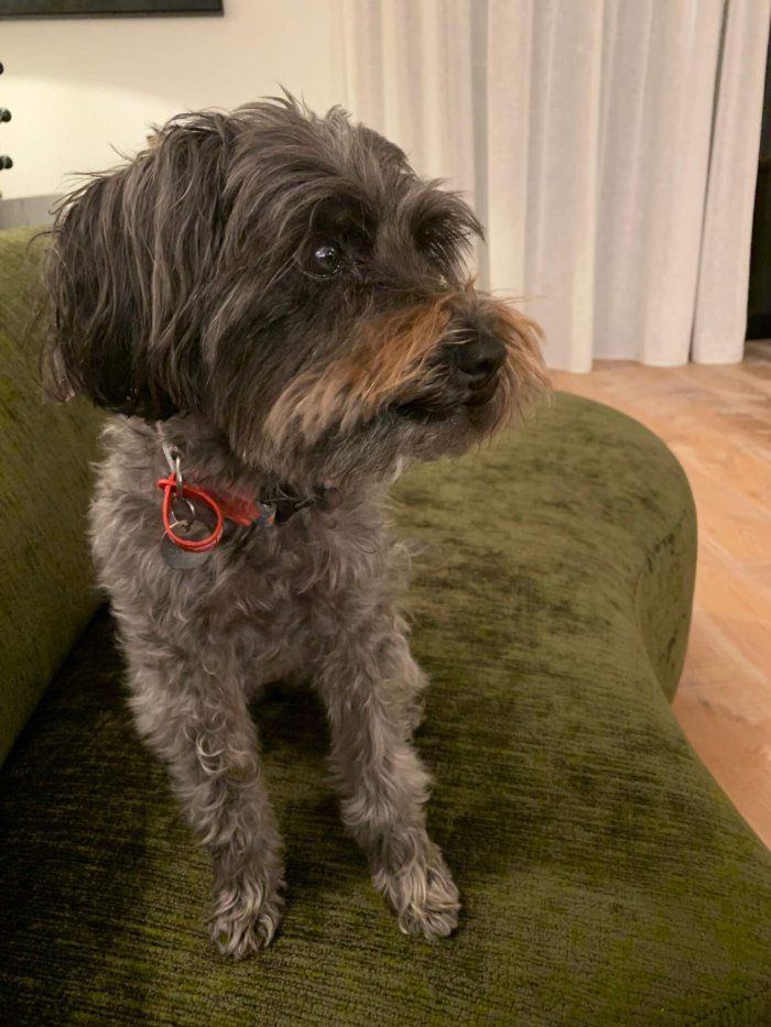 Roxy