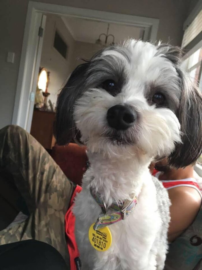 Yoshi