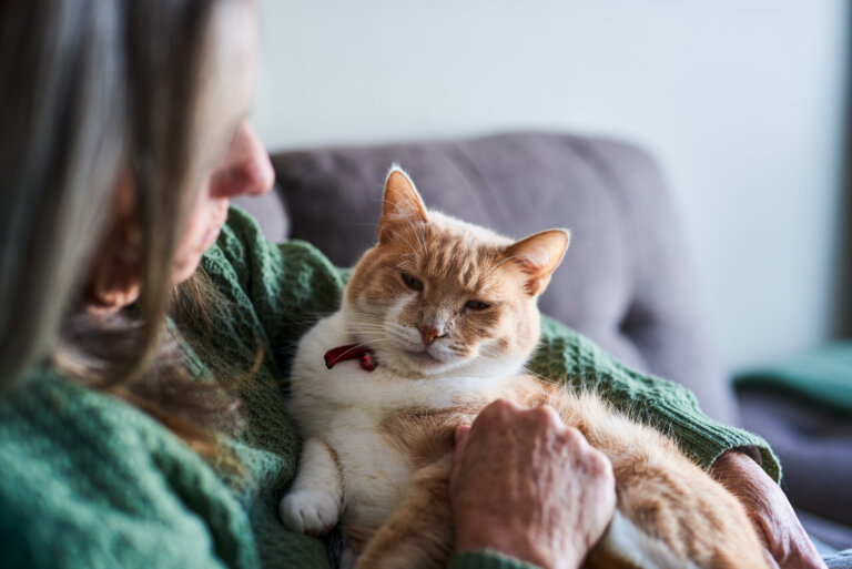 End-of-Life Care