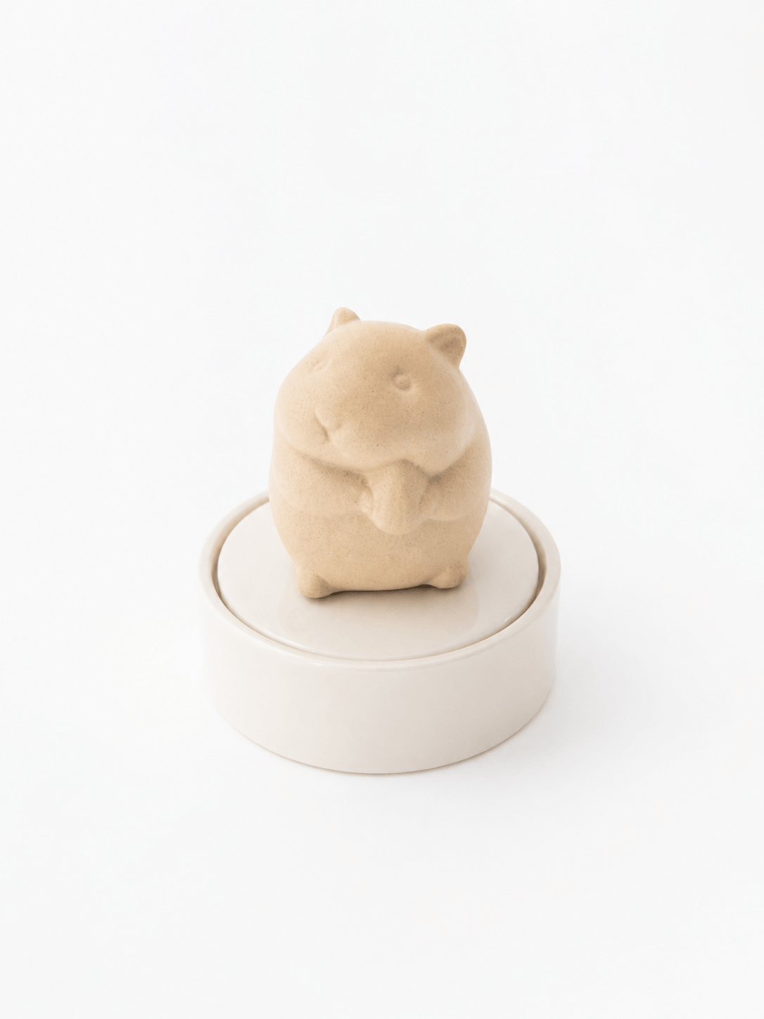 Pet Urn for Small Pets