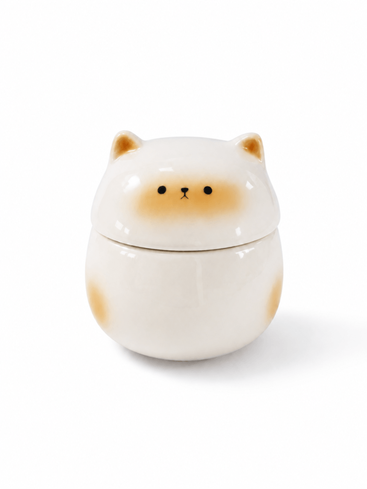 Pet Urn