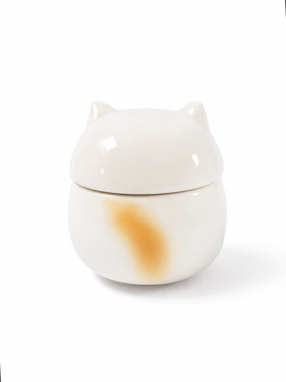 Pet Urn