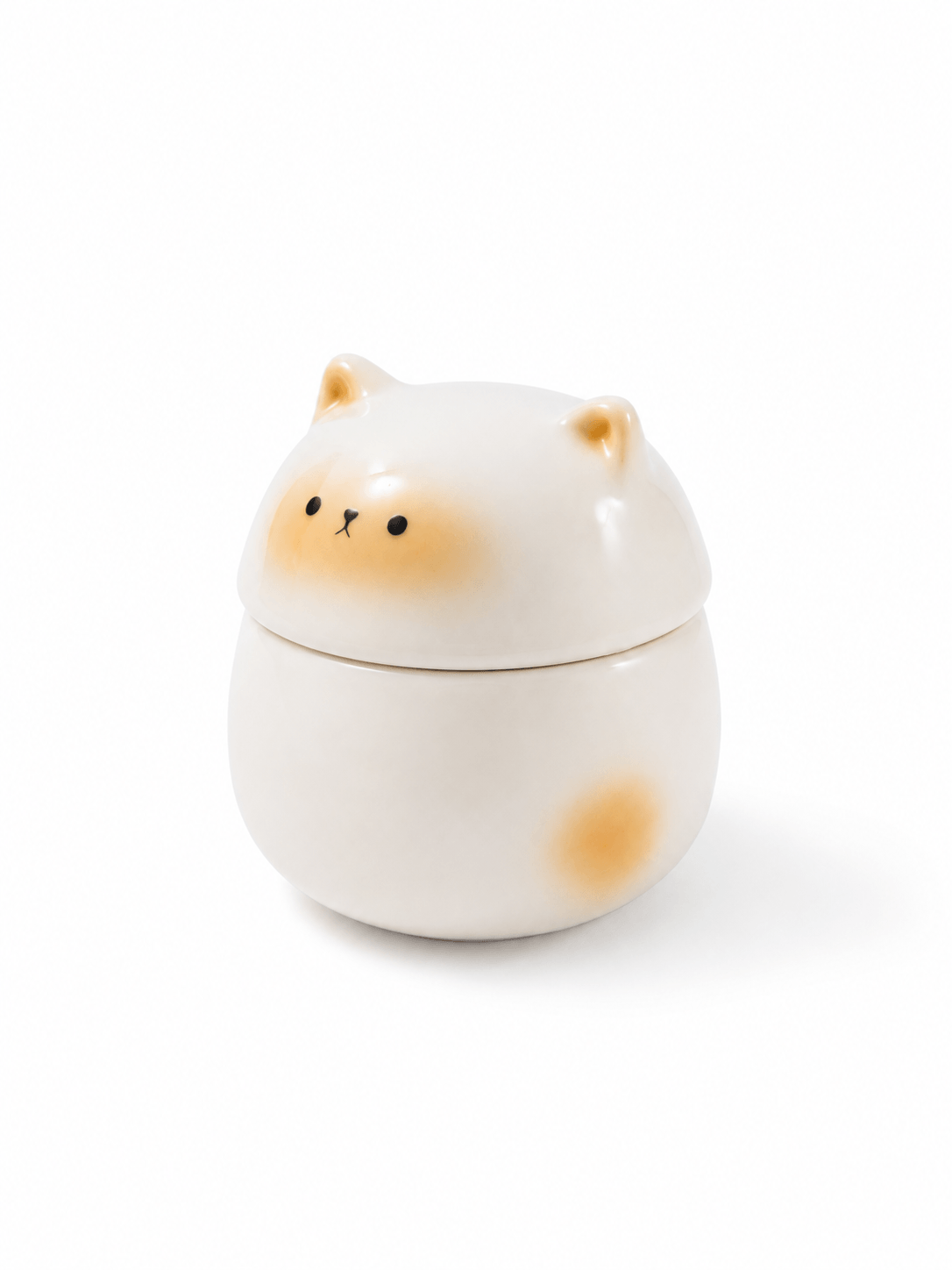 Pet Urn