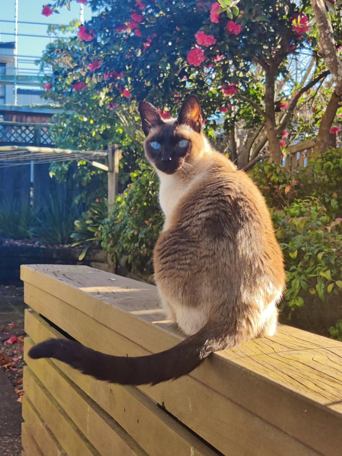 Zoe