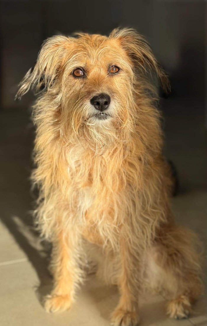 Lena