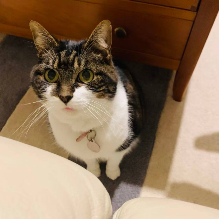 Mimi