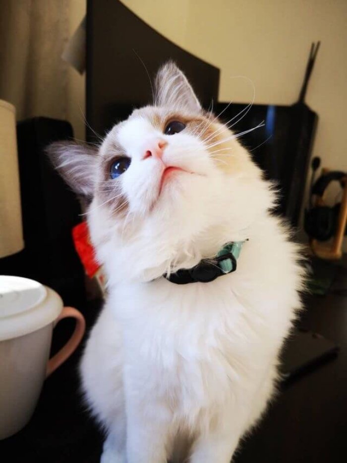 Sam